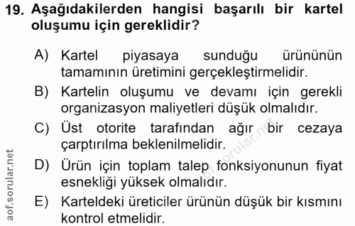 Soru 19