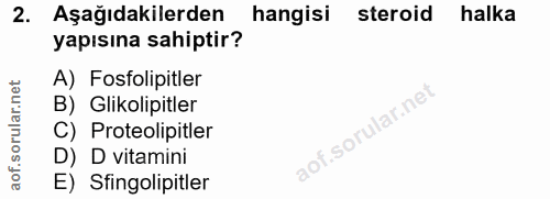 Soru 2