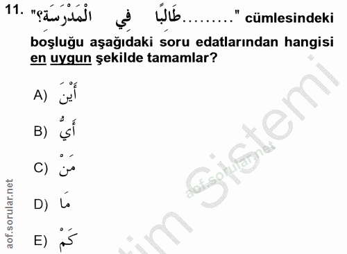 Soru 11