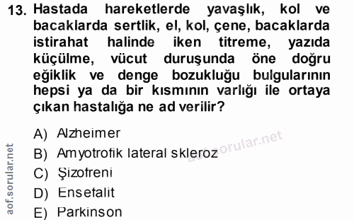 Soru 13