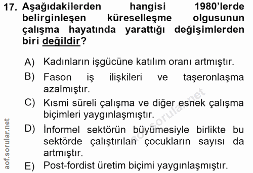 Soru 17