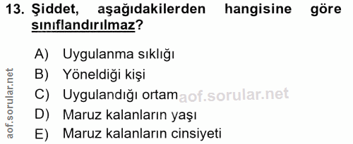 Soru 13