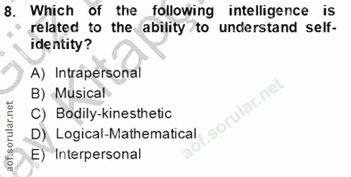 Soru 8
