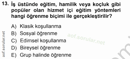 Soru 13