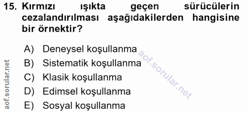 Soru 15