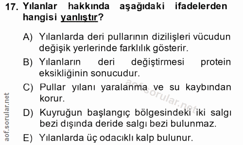 Soru 17