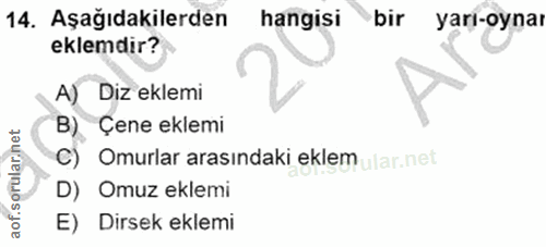 Soru 14