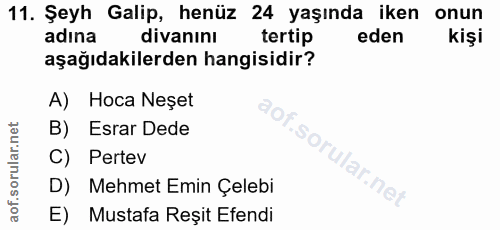 Soru 11