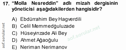 Soru 17