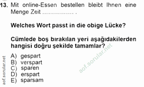 Soru 13