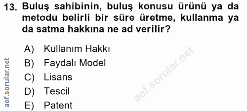 Soru 13