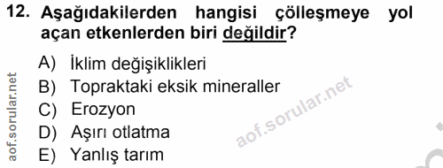 Soru 12