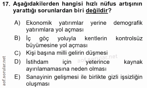 Soru 17