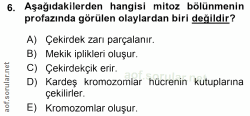 Soru 6
