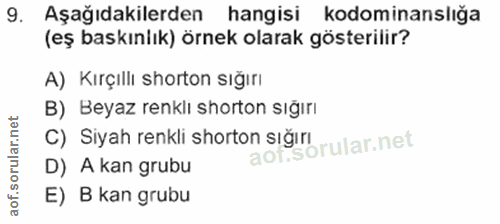 Soru 9