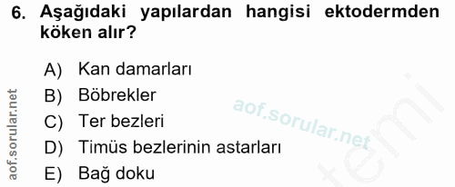 Soru 6