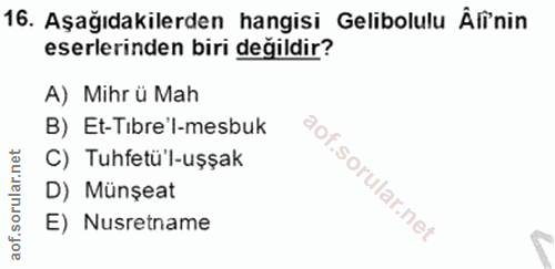 Soru 16