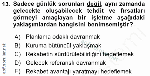 Soru 13