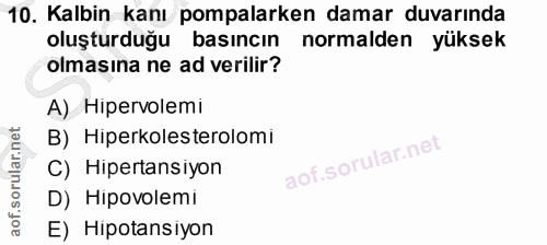 Soru 10