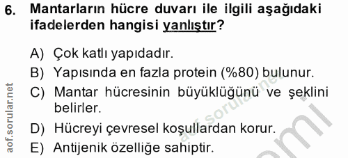 Soru 6