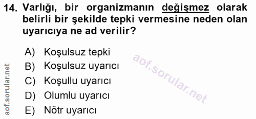Soru 14