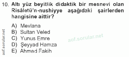Soru 10