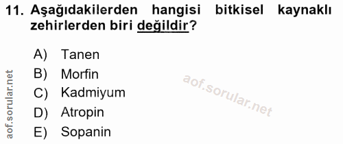 Soru 11