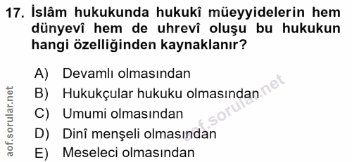 Soru 17