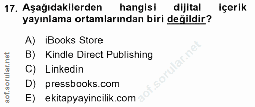 Soru 17