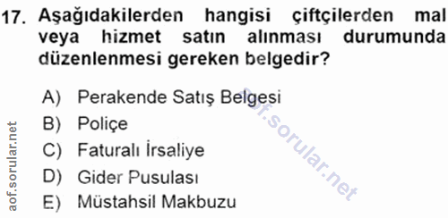 Soru 17
