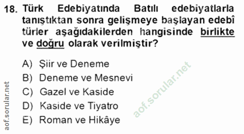 Soru 18