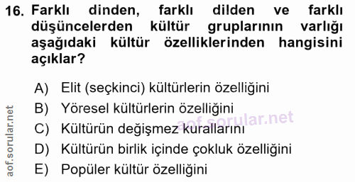 Soru 16