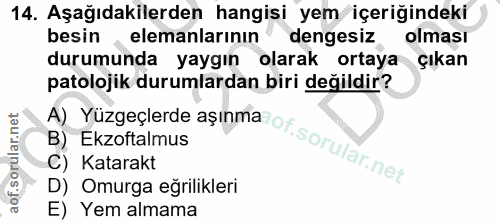 Soru 14