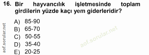 Soru 16