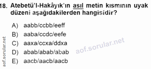 Soru 18