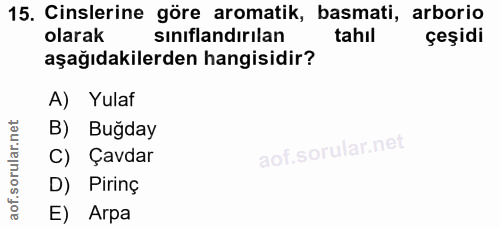 Soru 15