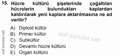Soru 15