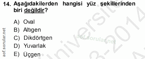 Soru 14