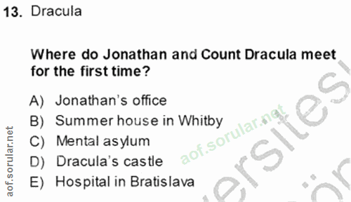 Soru 13