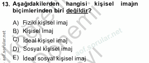 Soru 13