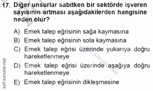Soru 17