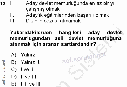 Soru 13
