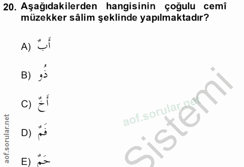 Soru 20