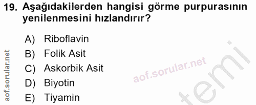 Soru 19