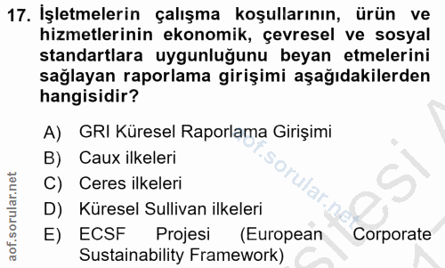 Soru 17