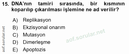 Soru 15