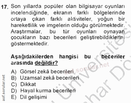 Soru 17