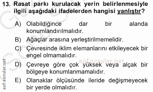 Soru 13