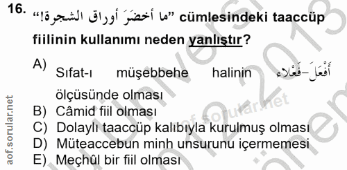 Soru 16