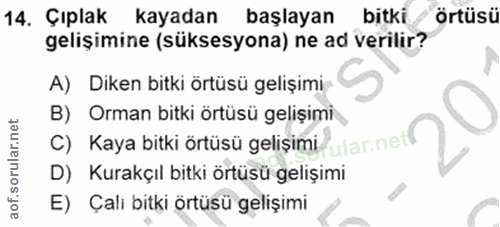 Soru 14